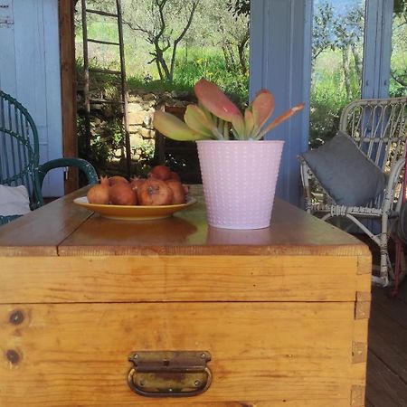 B&B La Casina Di Iris Arezzo Luaran gambar