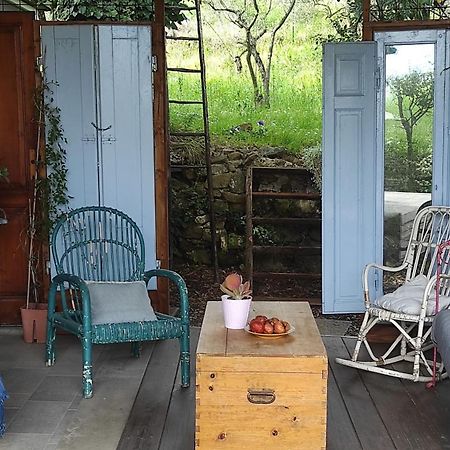 B&B La Casina Di Iris Arezzo Luaran gambar