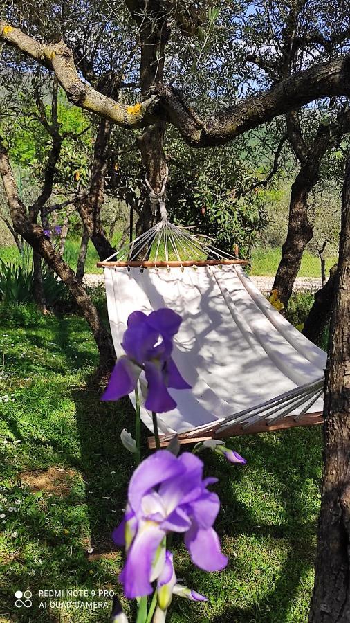 B&B La Casina Di Iris Arezzo Luaran gambar