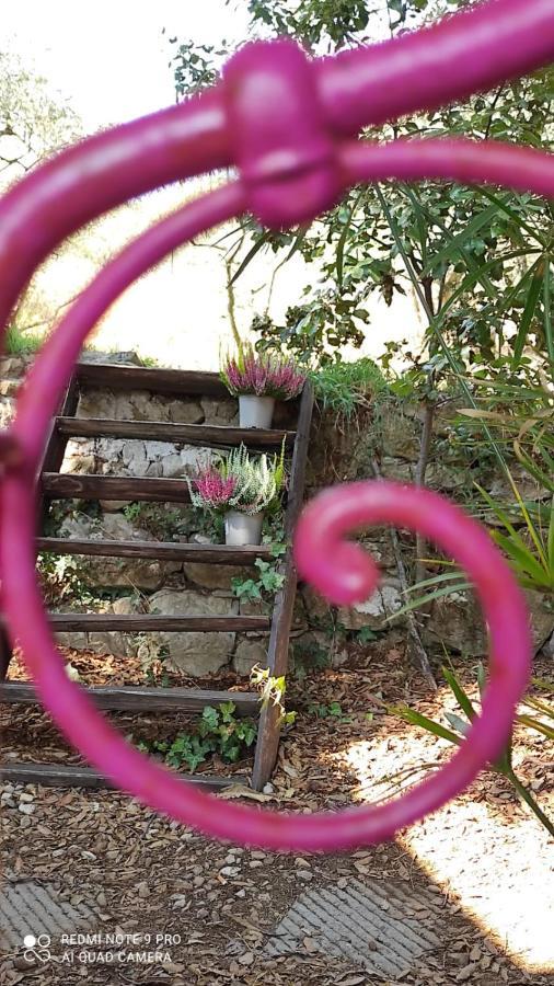 B&B La Casina Di Iris Arezzo Luaran gambar