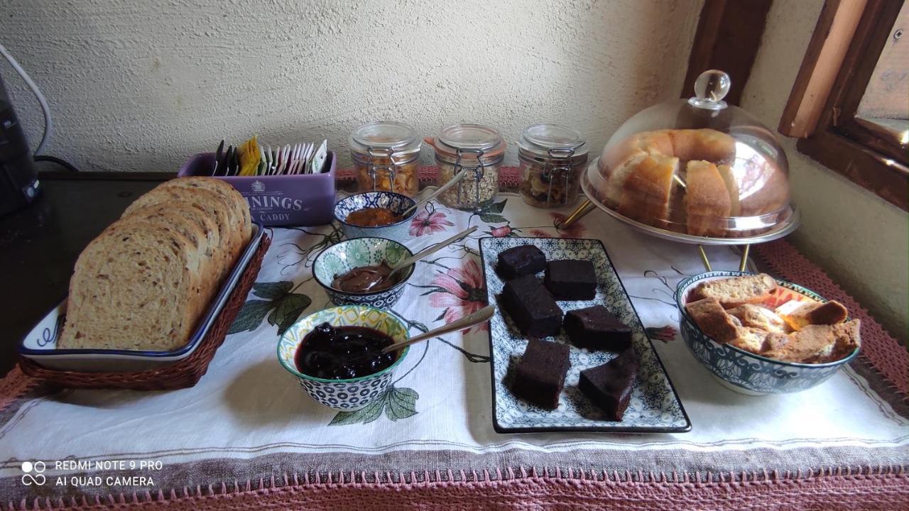 B&B La Casina Di Iris Arezzo Luaran gambar