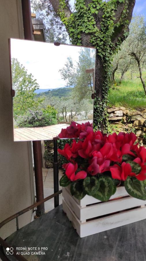 B&B La Casina Di Iris Arezzo Luaran gambar