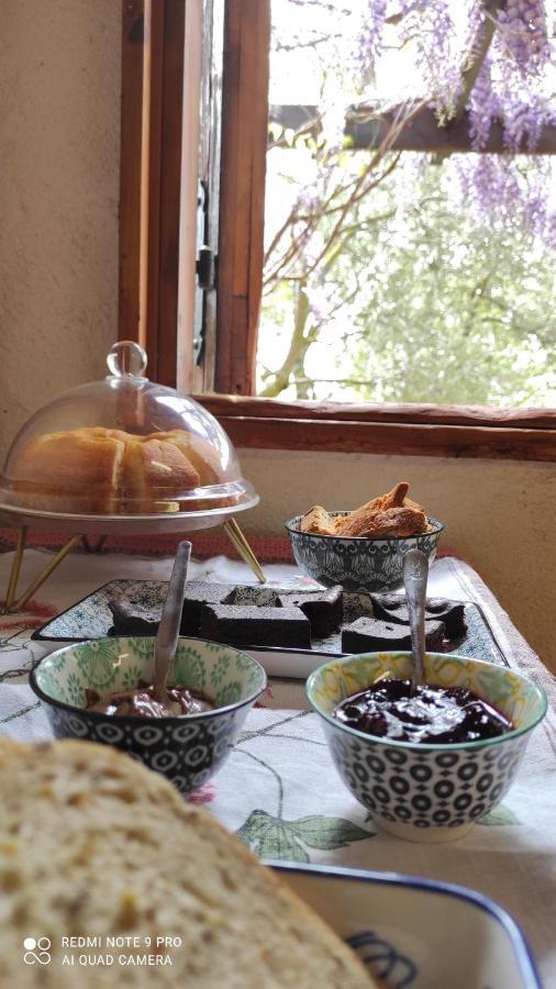 B&B La Casina Di Iris Arezzo Luaran gambar