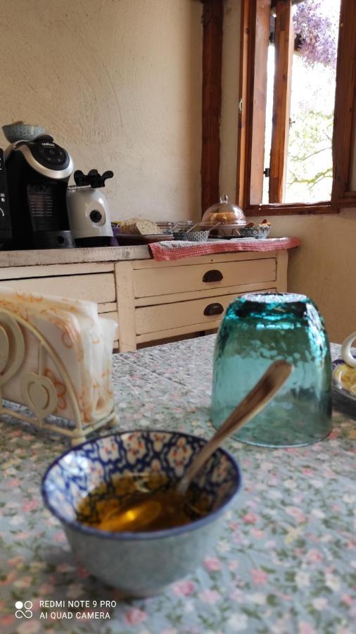 B&B La Casina Di Iris Arezzo Luaran gambar
