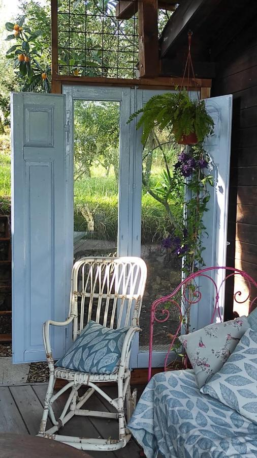 B&B La Casina Di Iris Arezzo Luaran gambar