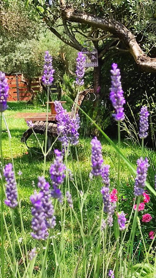 B&B La Casina Di Iris Arezzo Luaran gambar