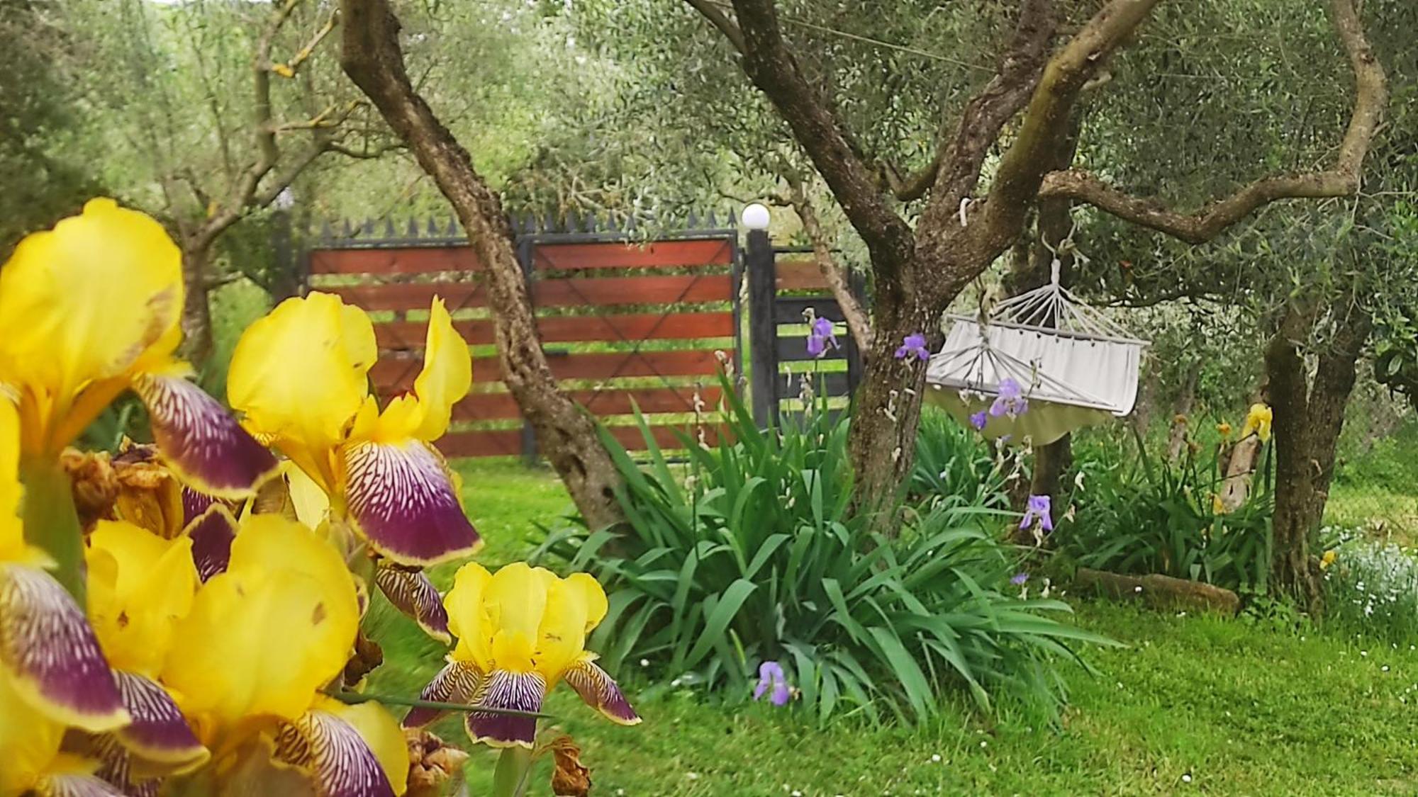 B&B La Casina Di Iris Arezzo Luaran gambar