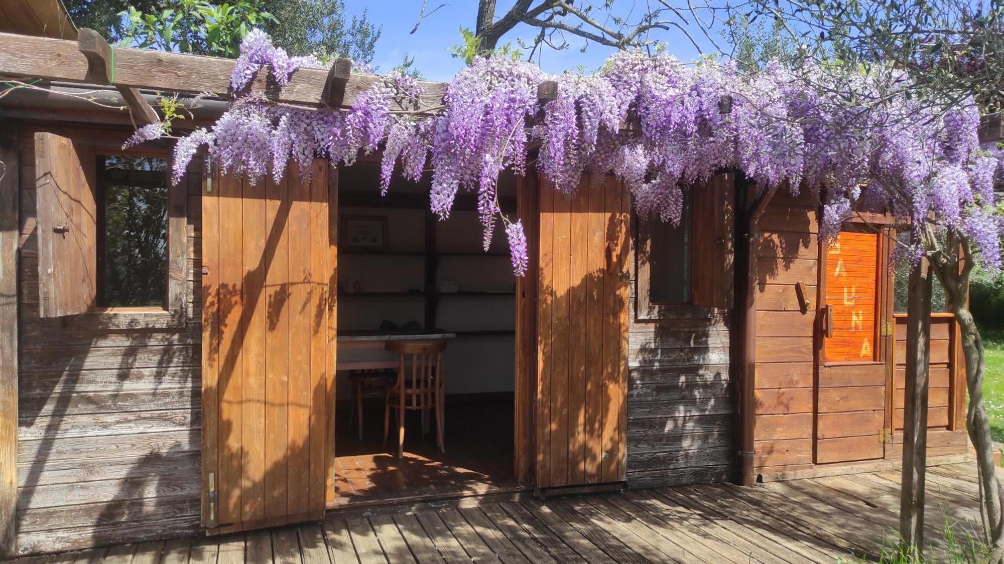 B&B La Casina Di Iris Arezzo Luaran gambar